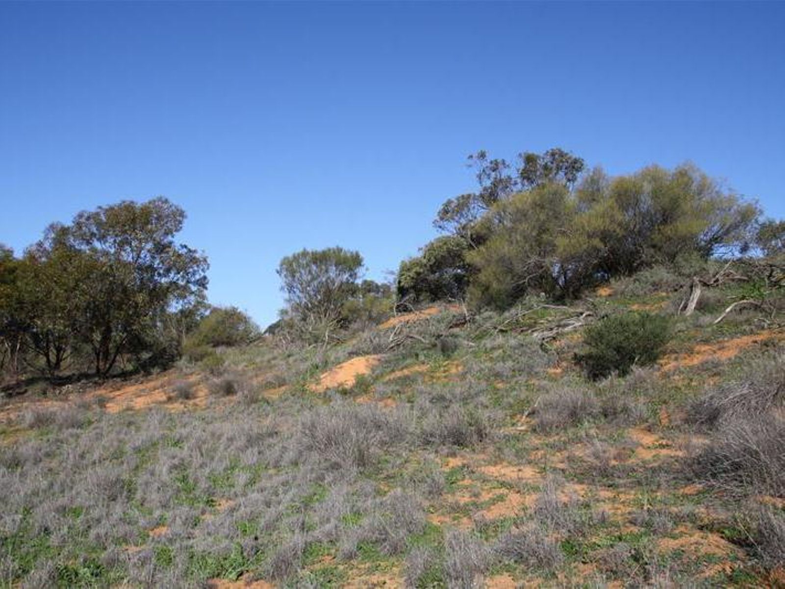 Lot 4 Sculthorpe Road, Nangiloc - Thumbnail 2
