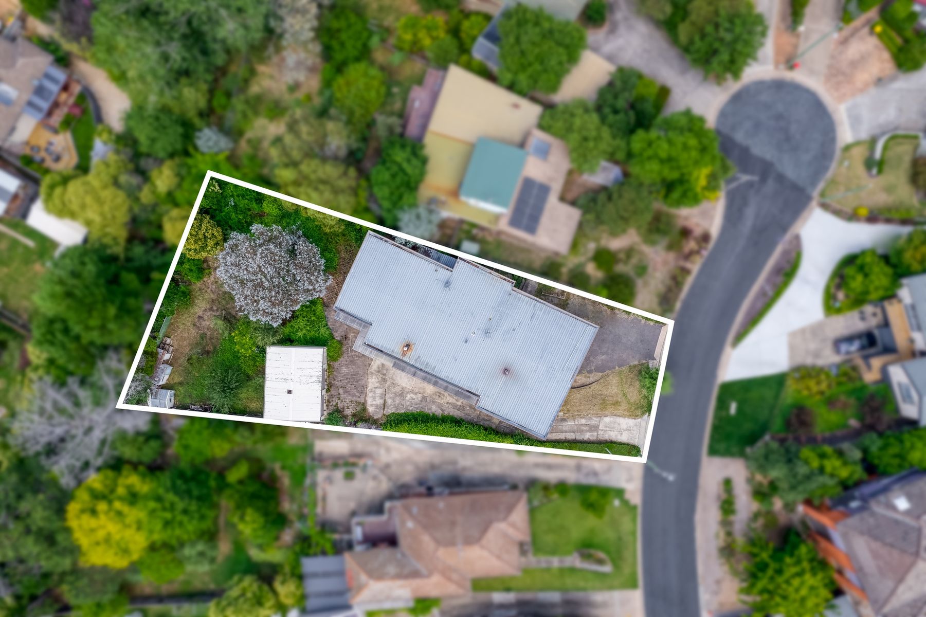 11 Sorrell Place, Queanbeyan - Thumbnail 2