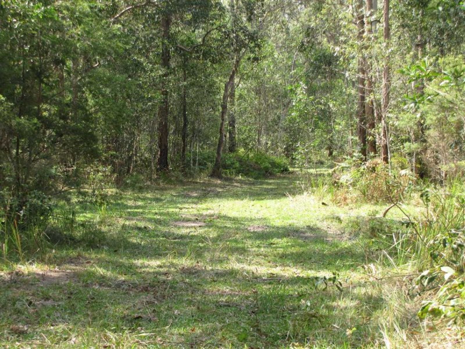 Elliot Rd NSW 2469, Elliot Rd - Thumbnail 4