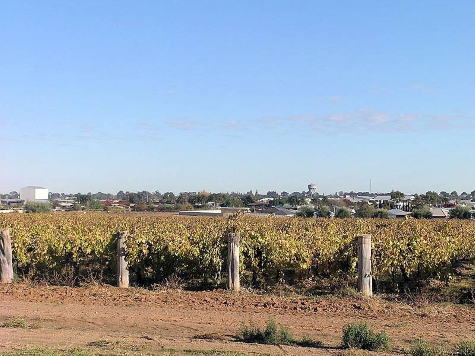 312-318 Cowra Avenue, Nichols Point - Thumbnail 4