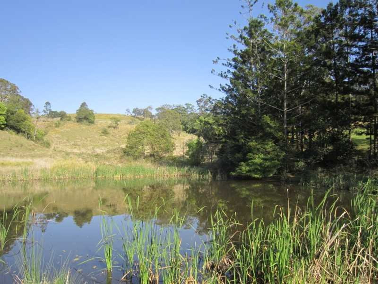 218 Skyline Road, Wyrallah - Thumbnail 6