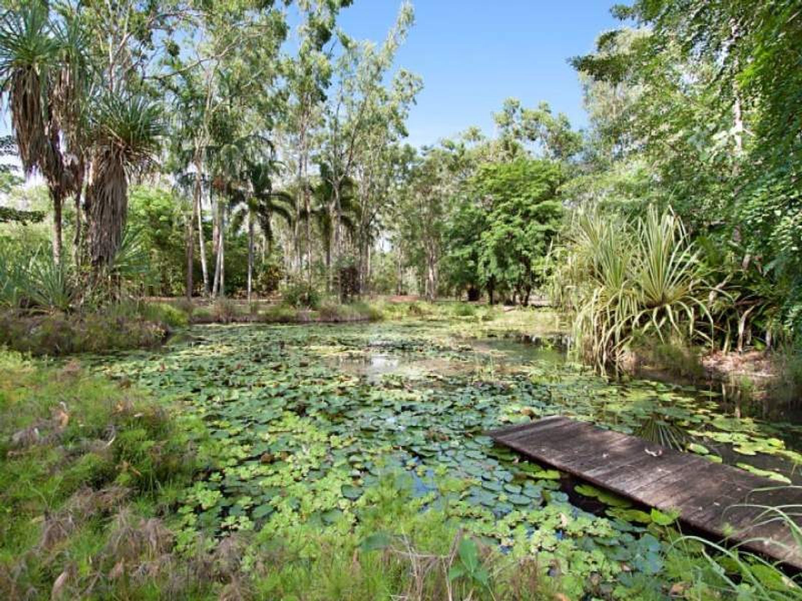 78 Wetherby Road, Girraween NT 0836, Girraween - Thumbnail 5