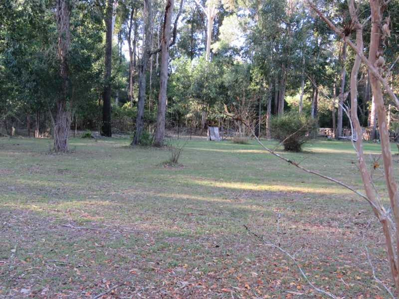 475 Elliotts Road, Myrtle Creek, NSW 2469, Myrtle Creek - Thumbnail 7