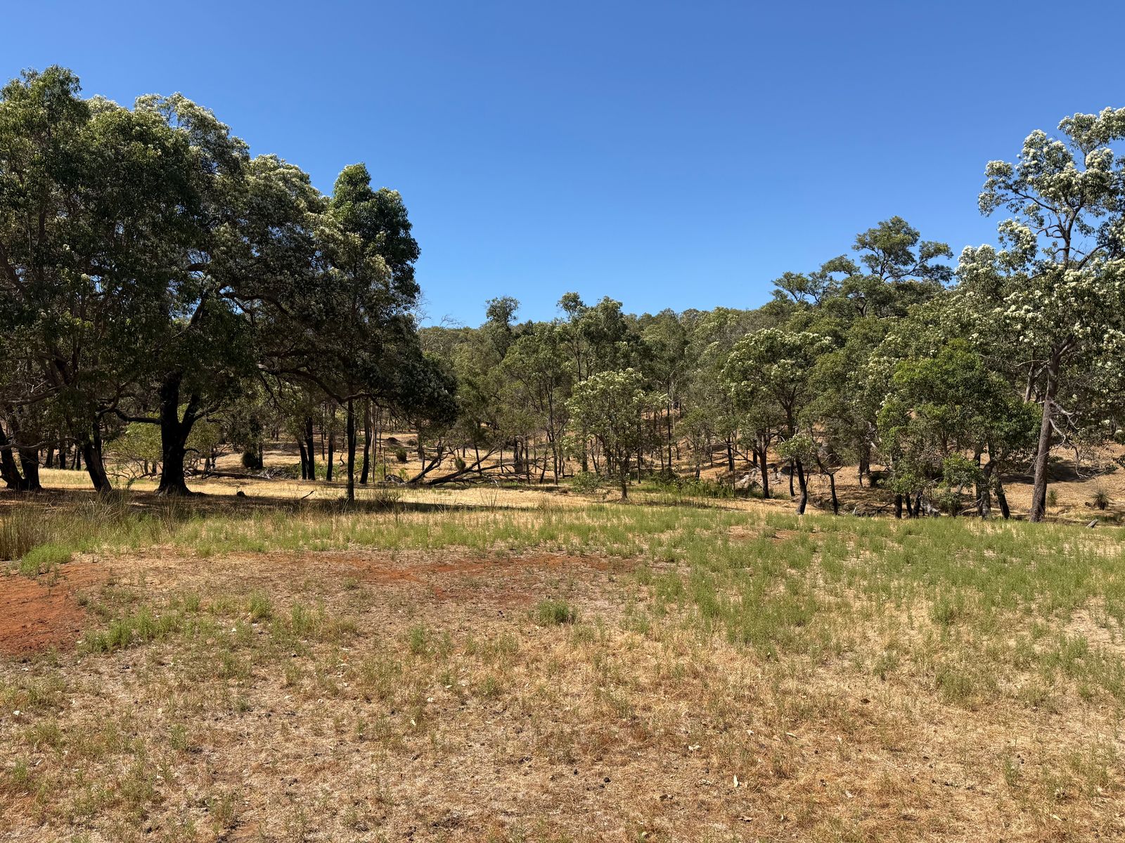 59 Lyons Road, Waroona WA 6215