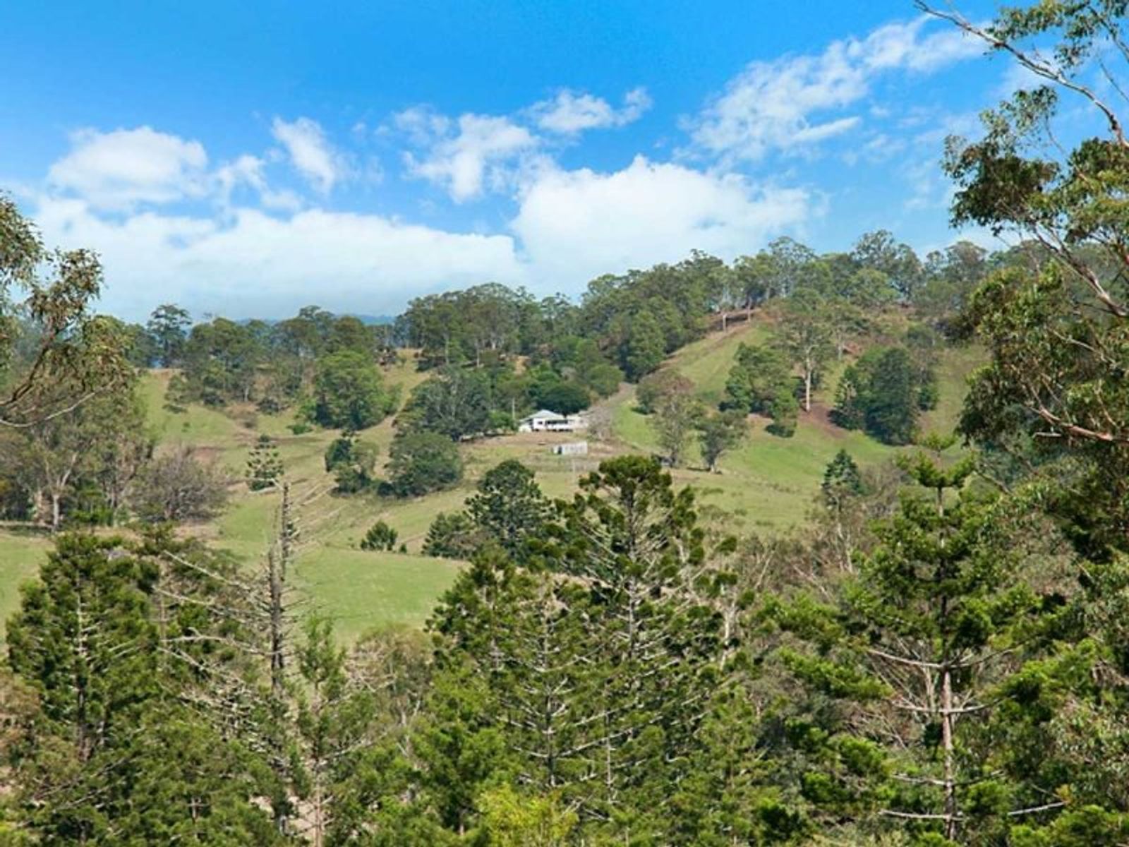 566 Homeleigh Rd, Homeleigh - Thumbnail 8