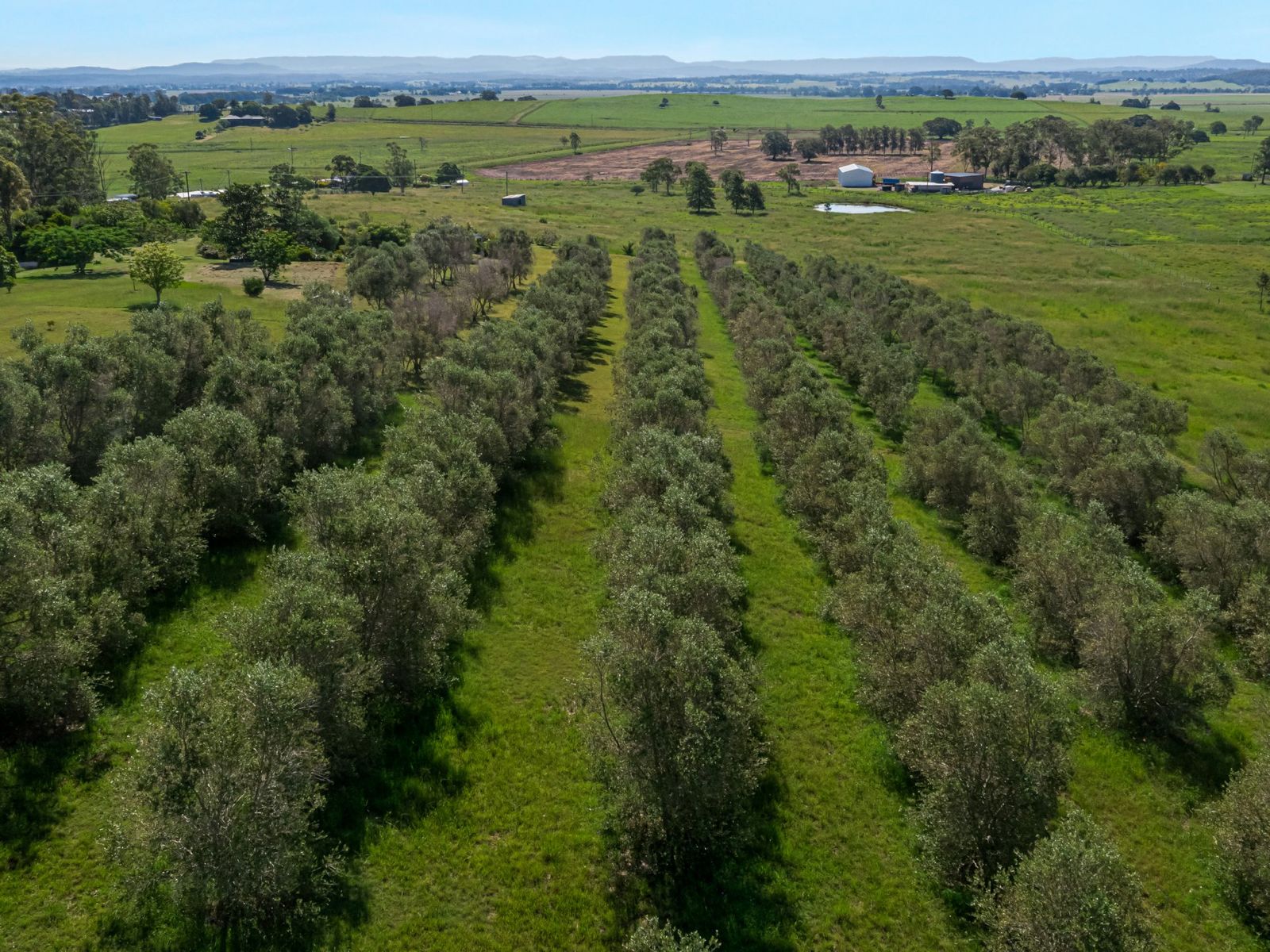 Lot 5, 228A Lot 5, 228A Backmede Road, Backmede - Thumbnail 5