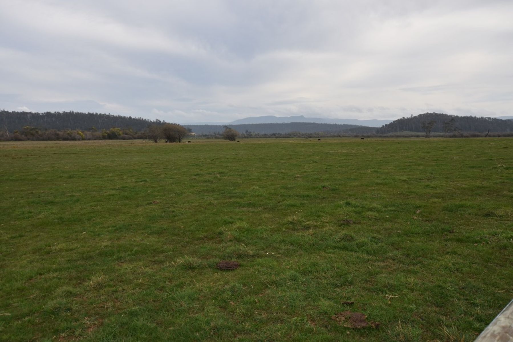 DELORAINE , Livestock for Sale FN First National Real Estate Claridge