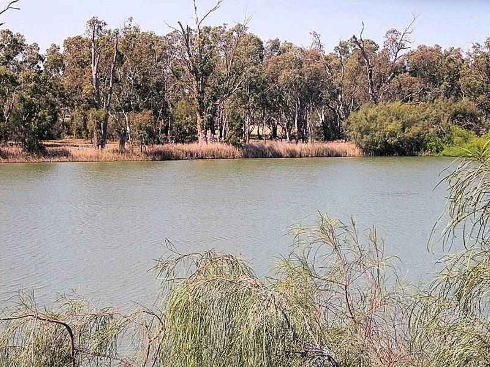 24 River Drive, Buronga - Thumbnail 5