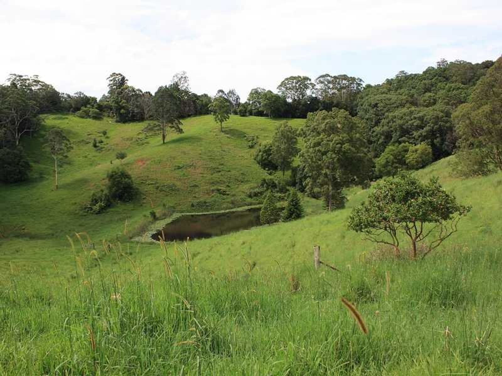 6903 Tweed Valley Way, Stokers Siding - Thumbnail 5