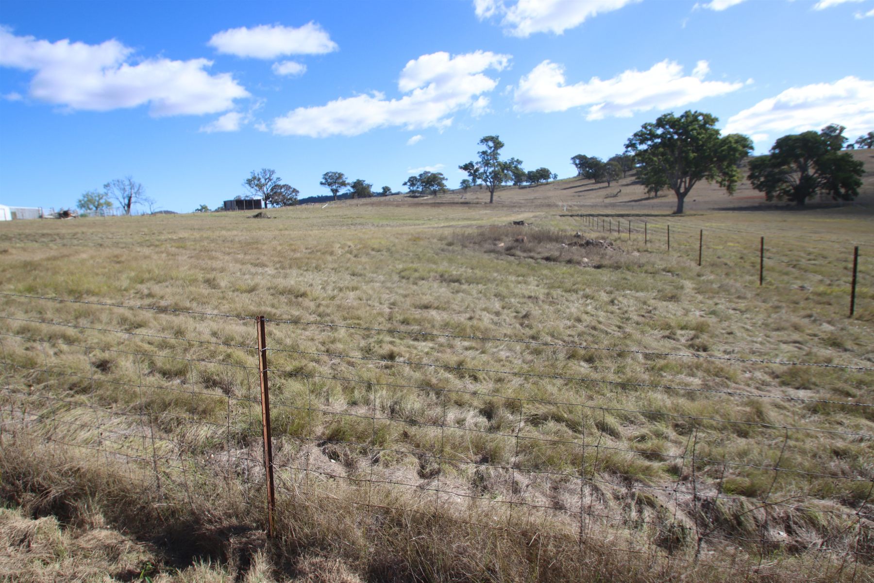 45 Neagles Lane, Tenterfield NSW 2372, Tenterfield - Thumbnail 7
