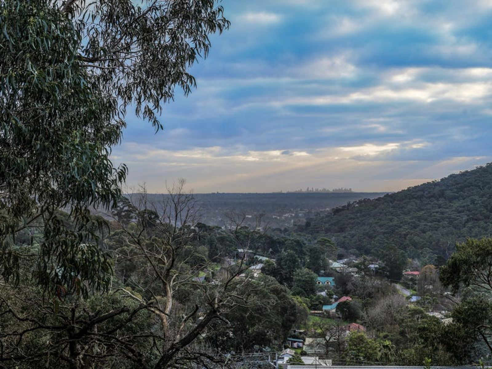 17 Jones Avenue, Upper Ferntree Gully, VIC 3156, Upper Ferntree Gully - Thumbnail 6