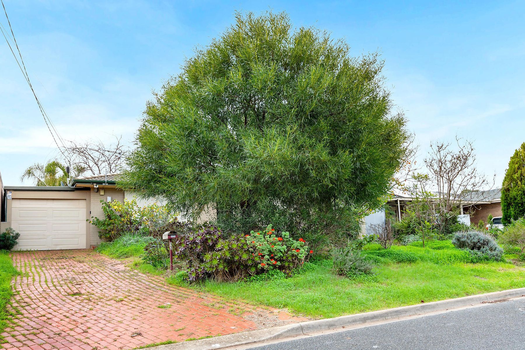 12 Sunhaven Road, Redwood Park SA 5097, Redwood Park - Image 1