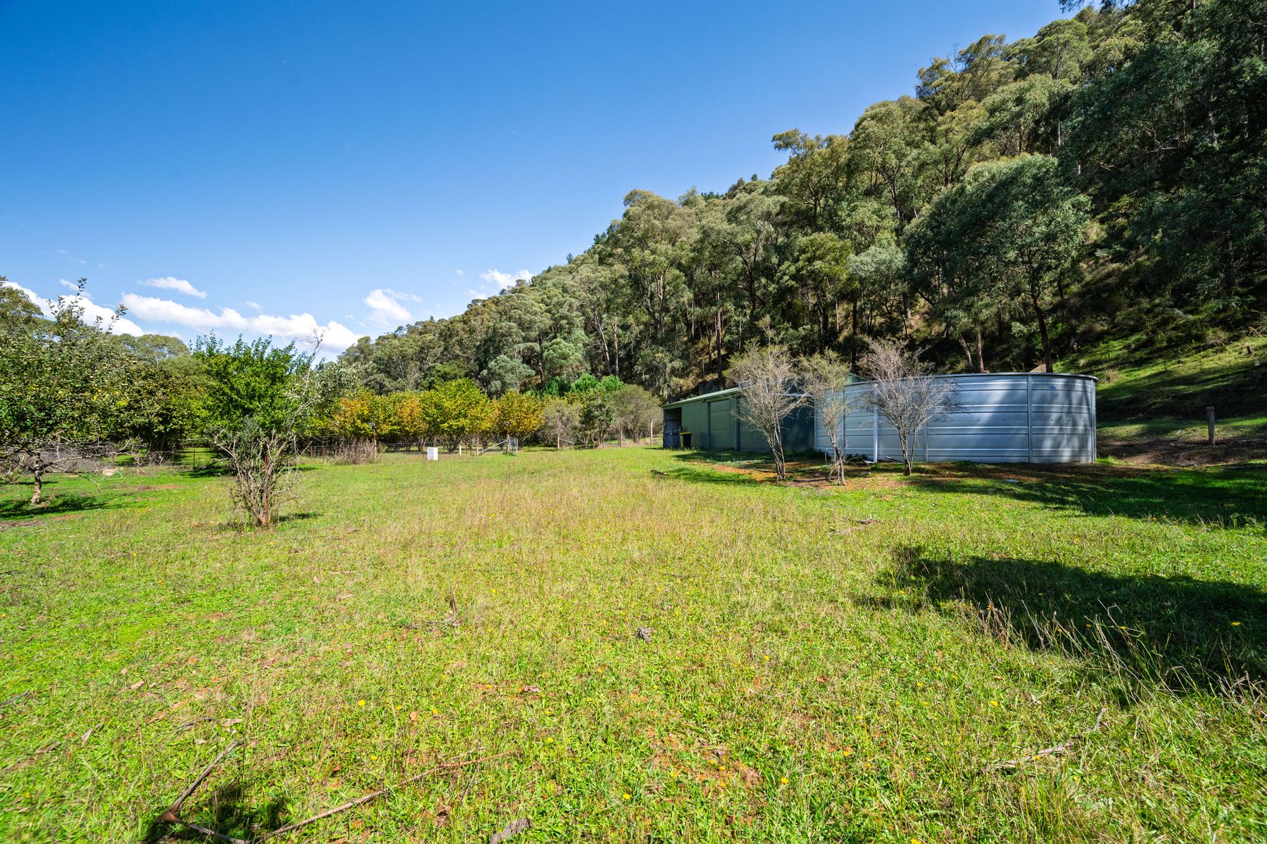 828 Morses Creek Road, Wandiligong - Image 1
