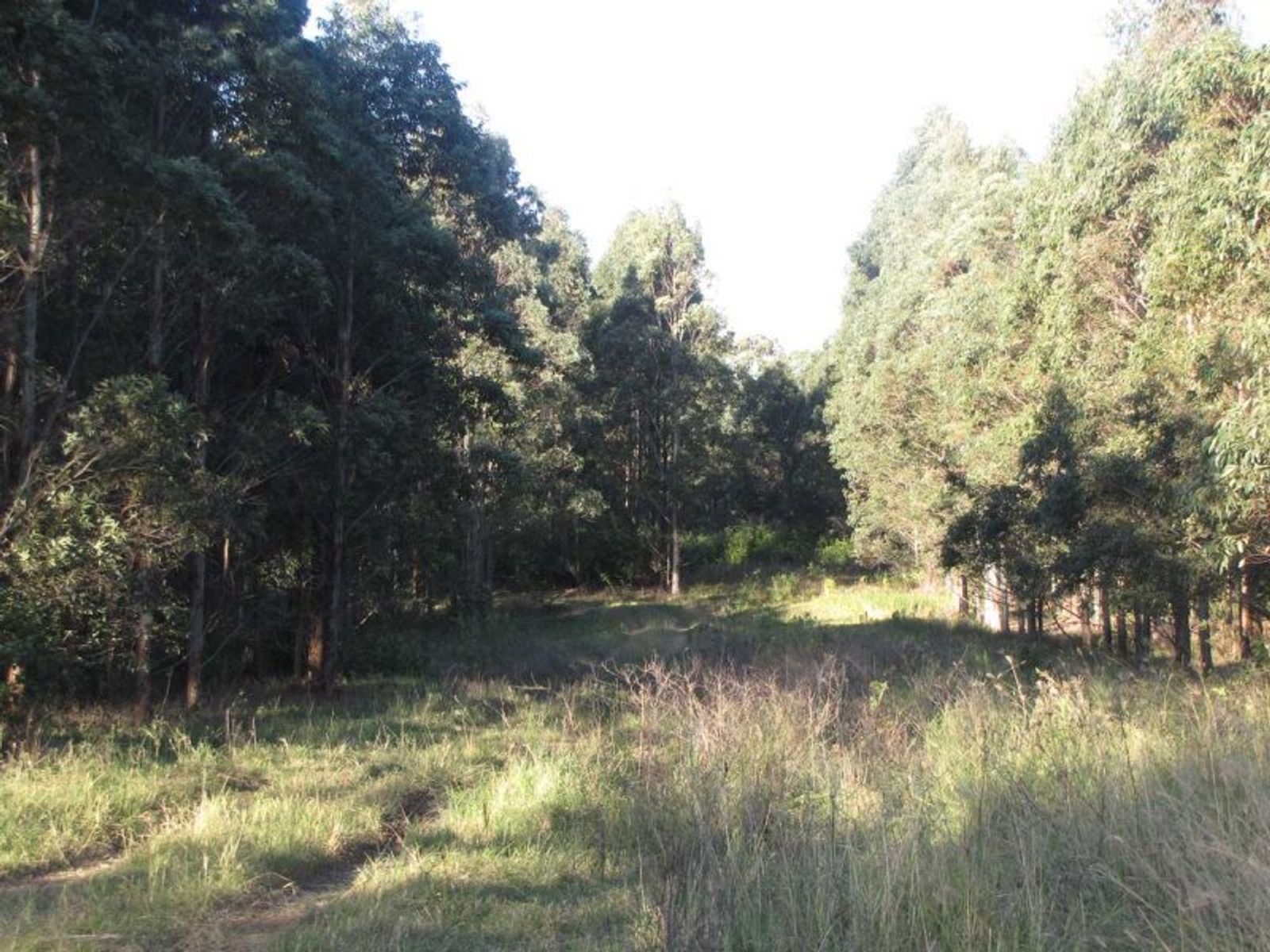 Hogarth Range NSW 2469, Hogarth Range - Thumbnail 8