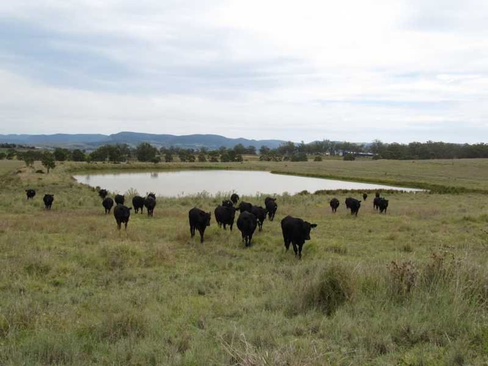 211 Bourkes Road, Loch Lomond, QLD 4370, Loch Lomond - Thumbnail 4