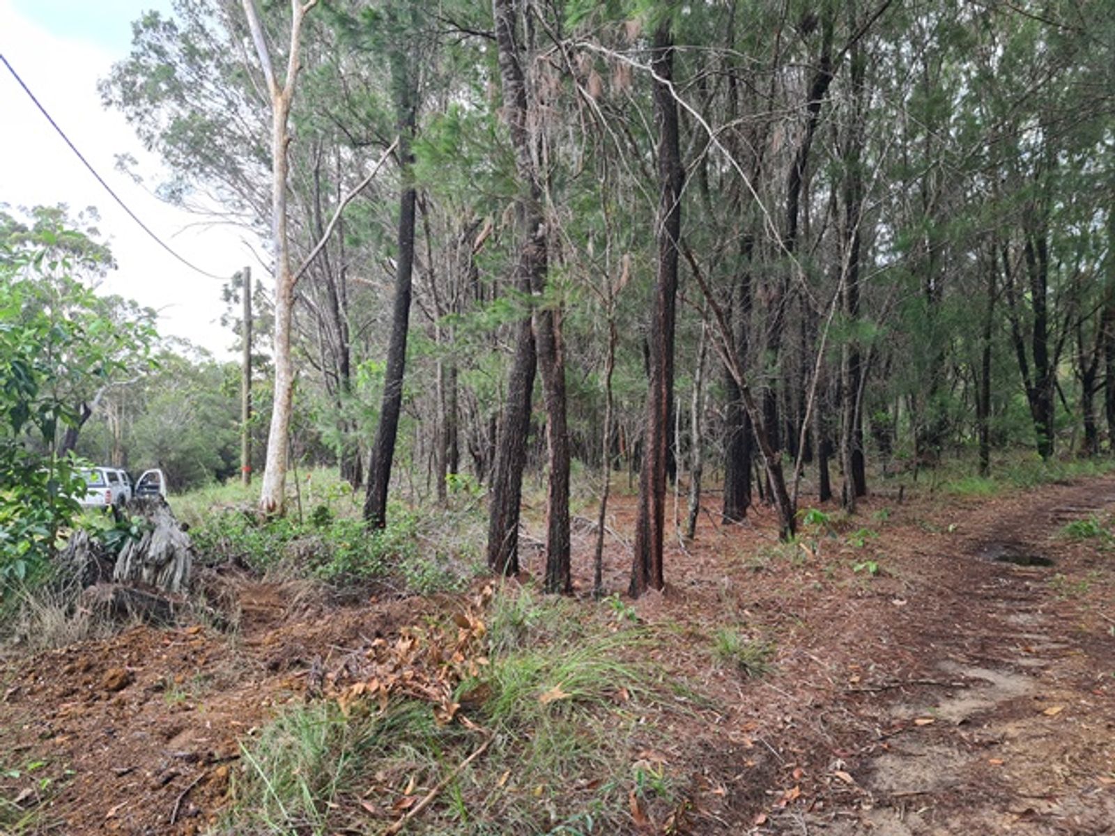 11 Vernon Way, Russell Island QLD 4184, Russell Island - Thumbnail 2