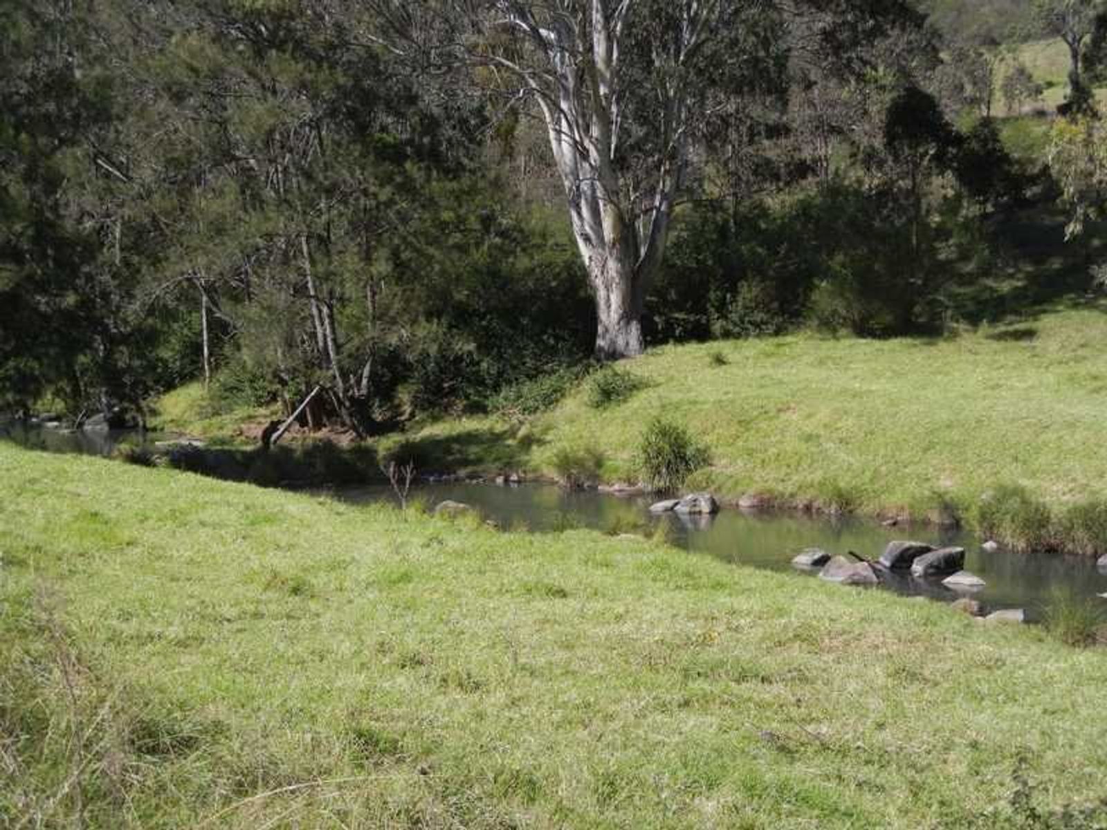 Condamine River Road QLD 4373, Condamine River Road - Thumbnail 5