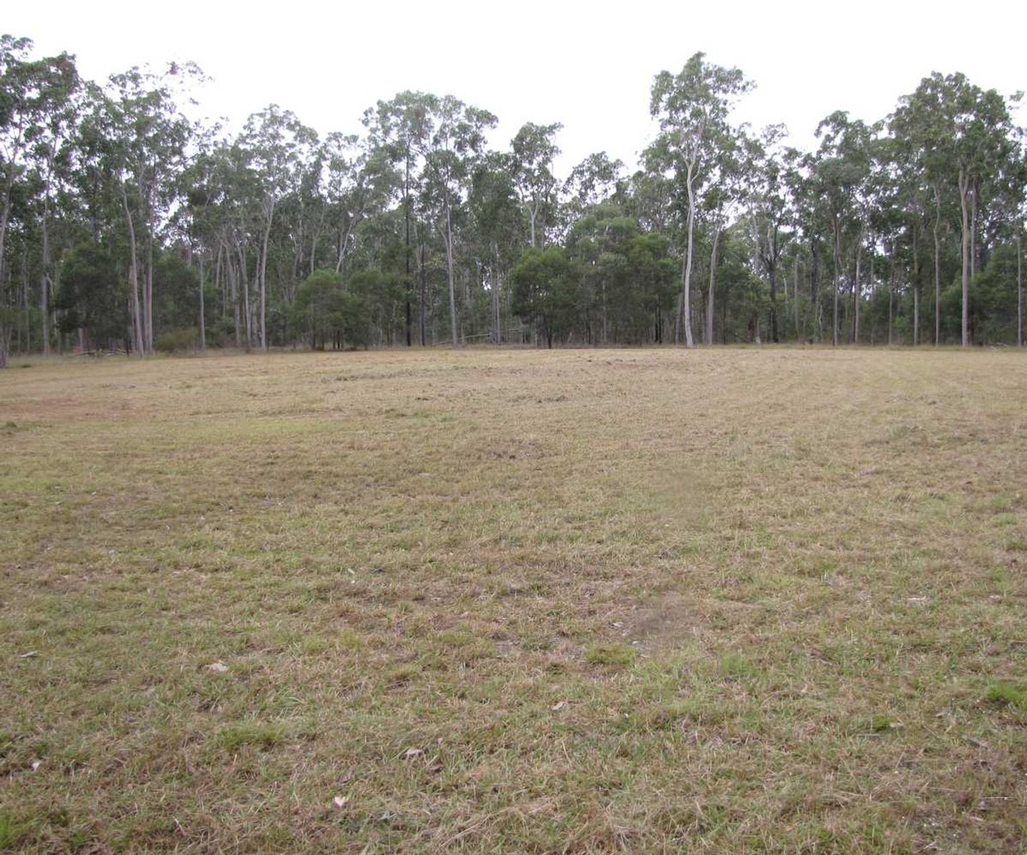1684 Old Tenterfield Rd, Kippenduff - Thumbnail 7
