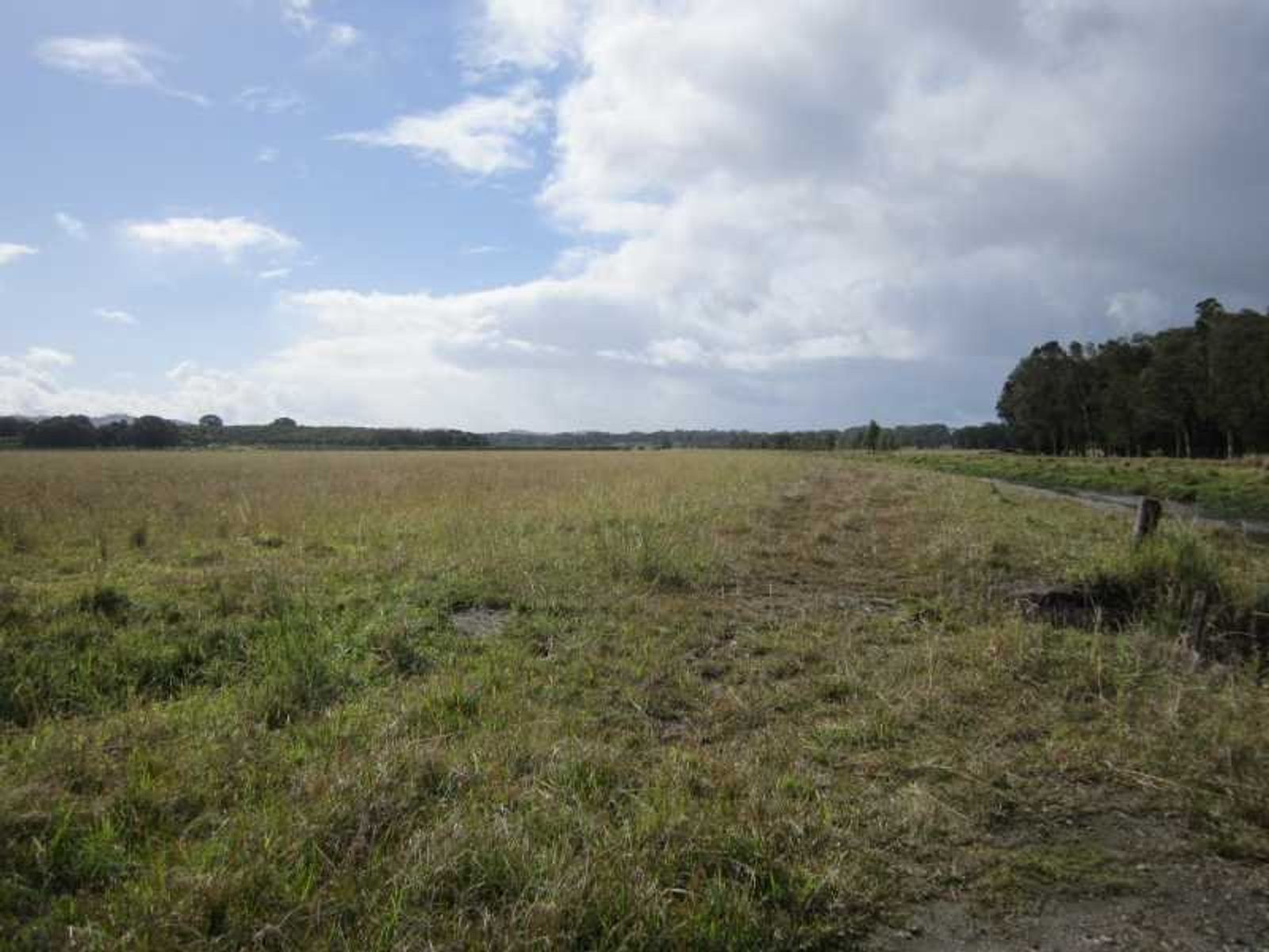 Lot 4 DP1034816 Newrybar Swamp Road, Lennox Head - Thumbnail 5