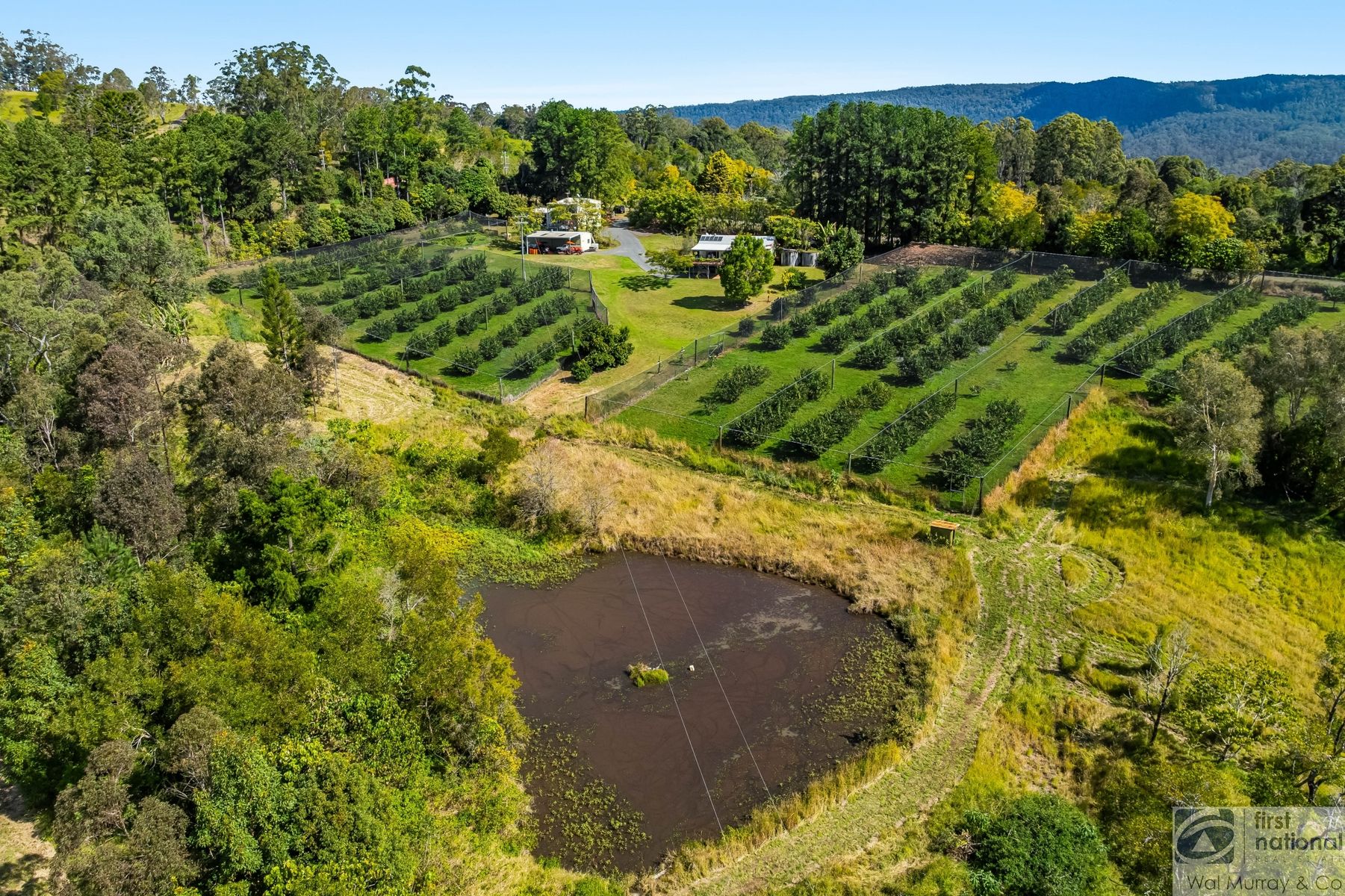 446 Gwynne Road, Georgica NSW 2480, Georgica - Thumbnail 4