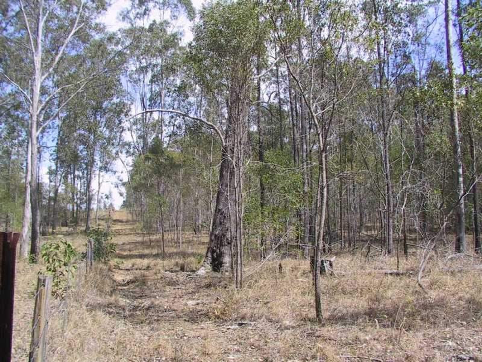 Tatham-Myrtle Creek Road NSW 2470, Tatham-Myrtle Creek Road - Thumbnail 4