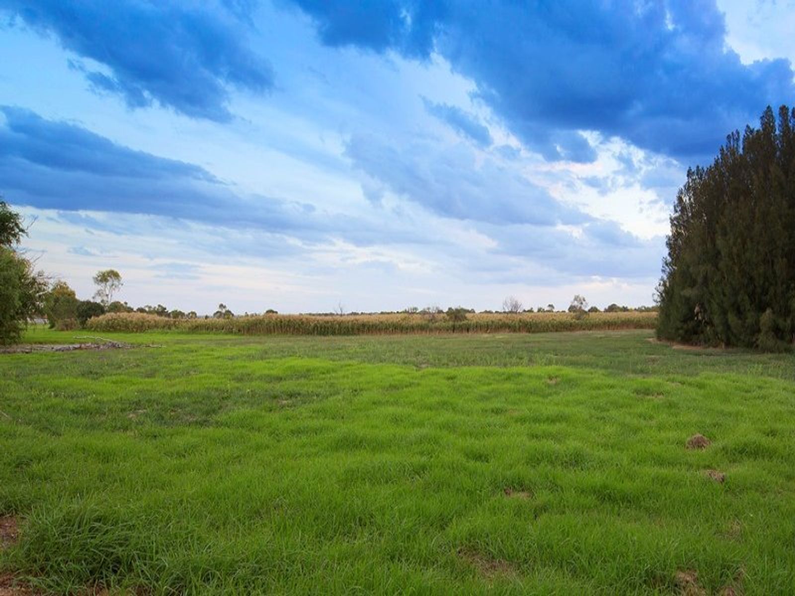 18 Jabiru Drive, Chelsea Heights, VIC 3196, Chelsea Heights - Thumbnail 8
