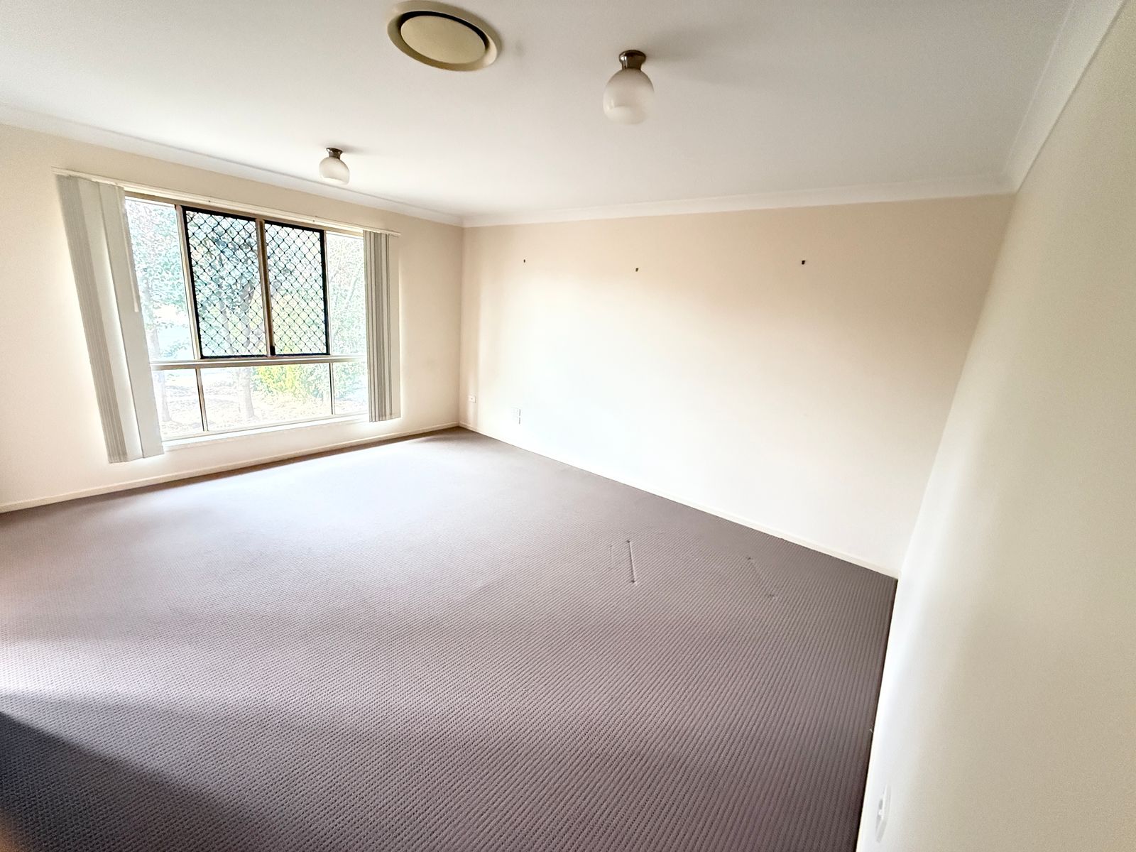 8 Davidson Court, Chinchilla QLD 4413, Chinchilla - Thumbnail 6