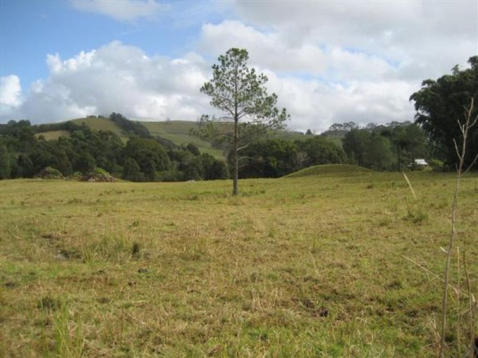 Lot 74 Lot 74 Palm Lily Crescent, Bangalow - Thumbnail 7