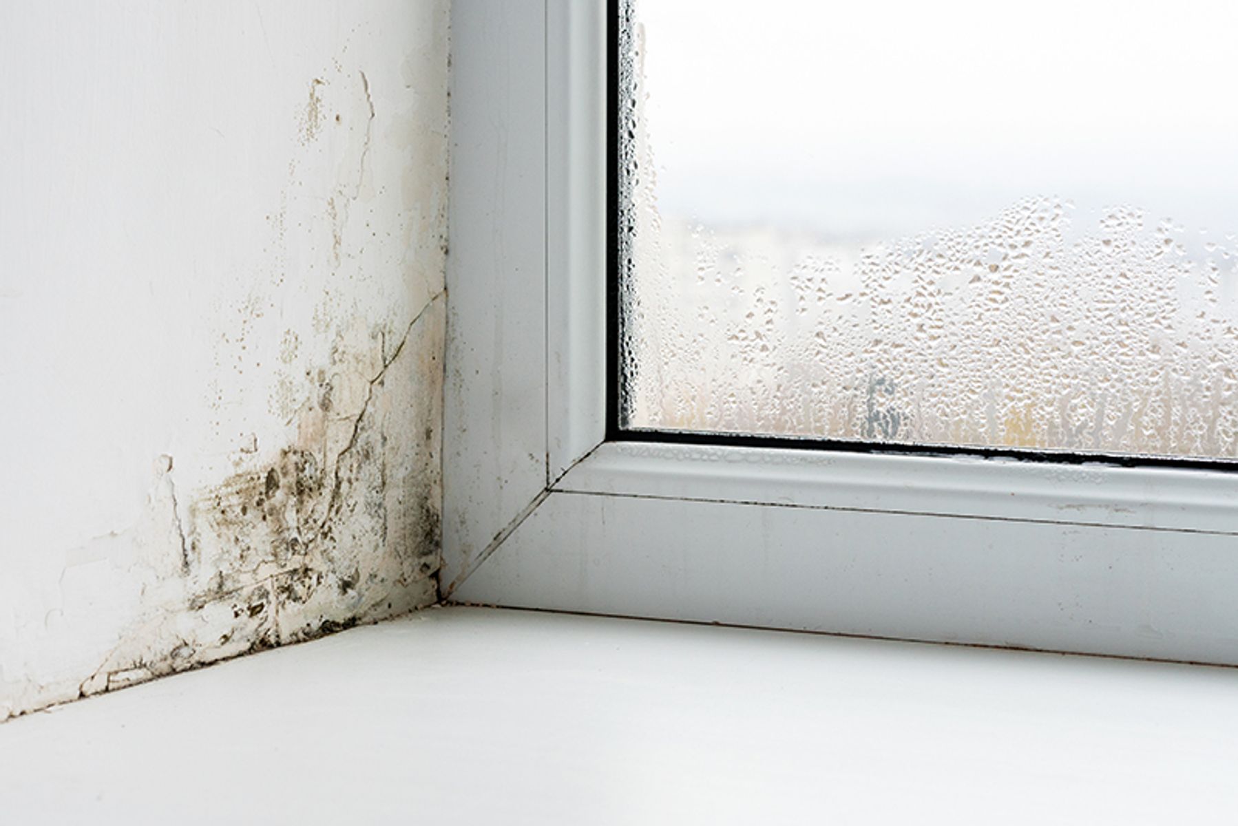 DEALING WITH CONDENSATION AND MOULD: CAUSES, PREVENTION AND REMOVAL