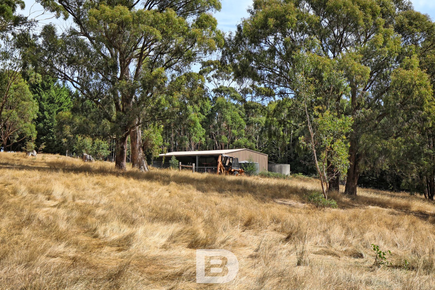 644 Mount William Rd Goldie   WM 15
