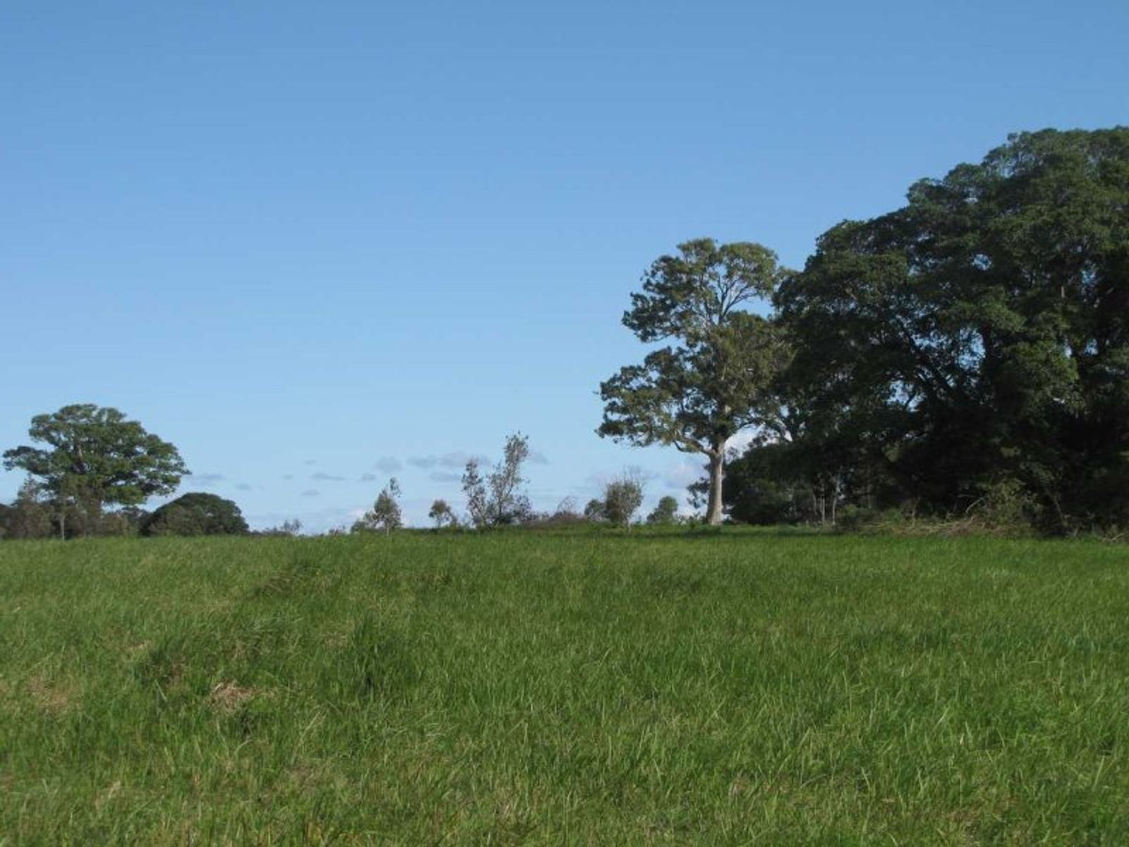 Coraki-Ellangowan Rd NSW 2471, Coraki-Ellangowan Rd - Thumbnail 4