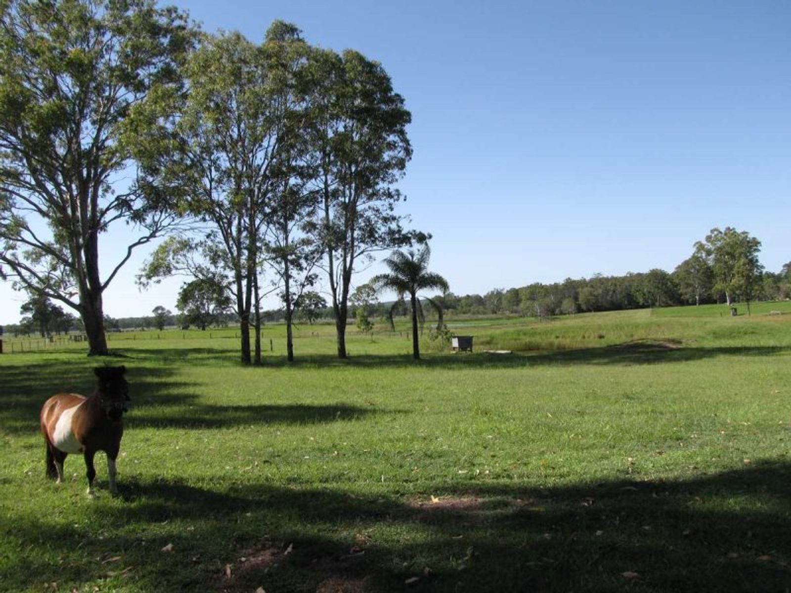 127 Hogarth Range Road, Mongogarie - Thumbnail 5