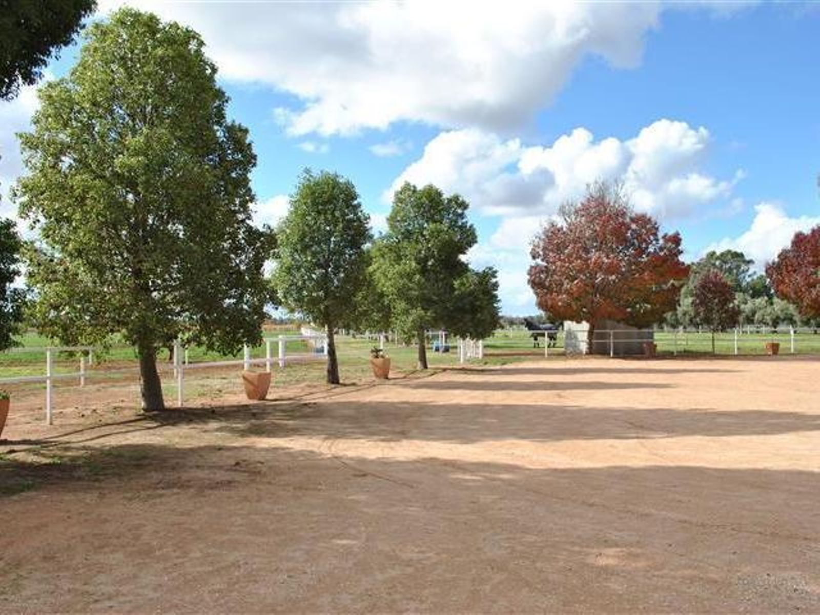 145-149 Irymple Avenue, Nichols Point - Thumbnail 4