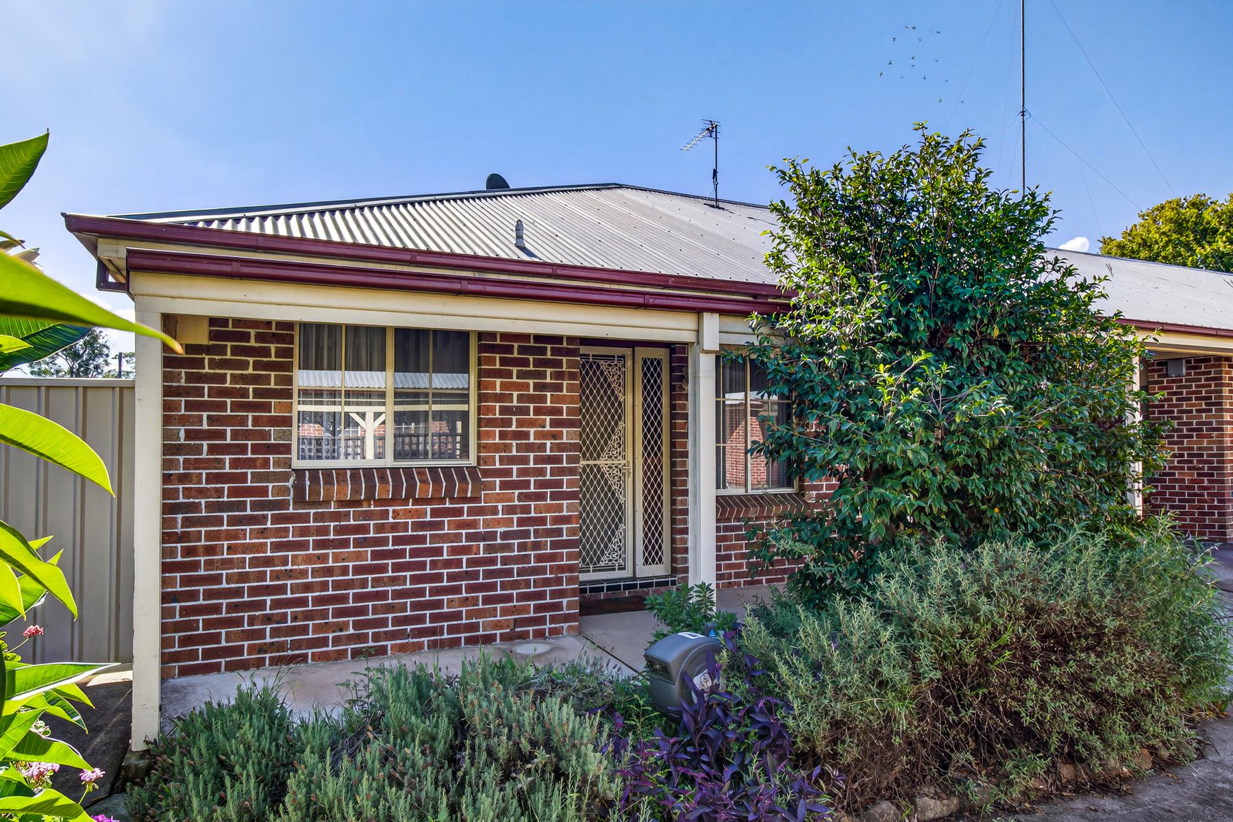 7/60 Windsor St, Richmond NSW 2753, Richmond - Thumbnail 2