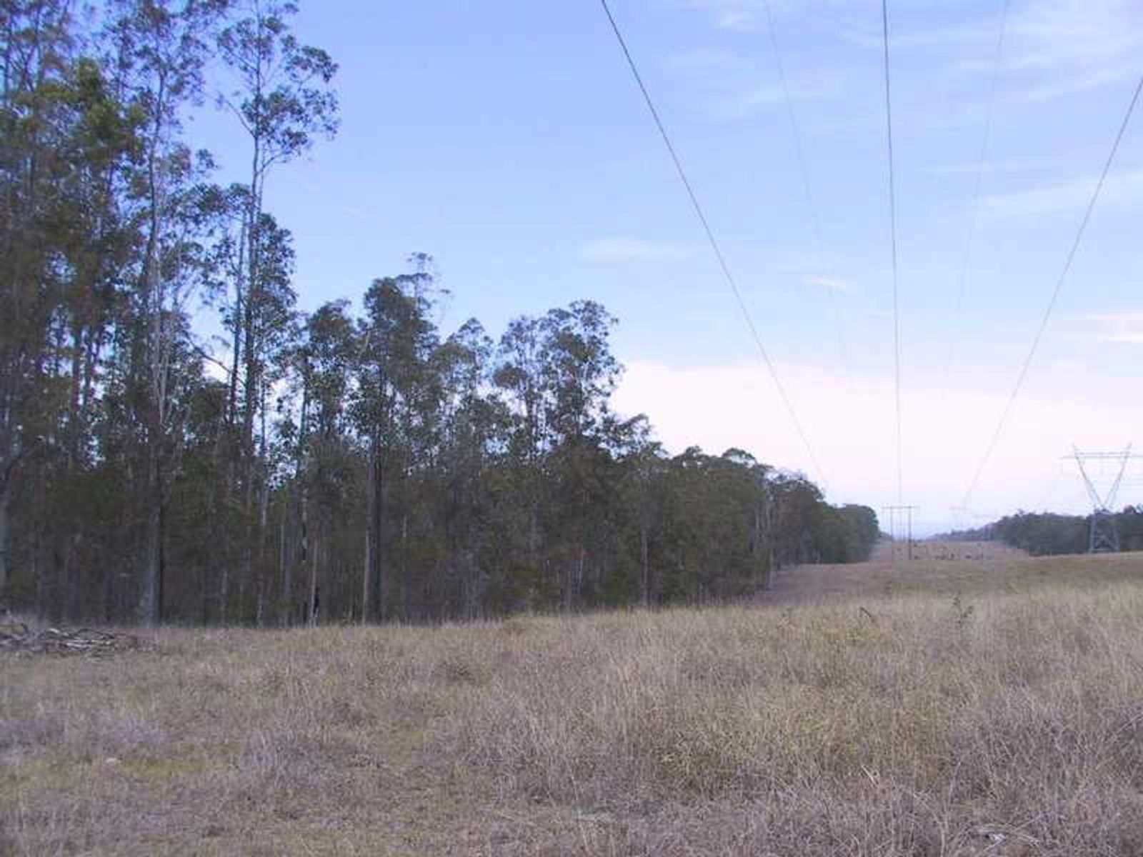 Tatham-Myrtle Creek Road NSW 2470, Tatham-Myrtle Creek Road - Thumbnail 5