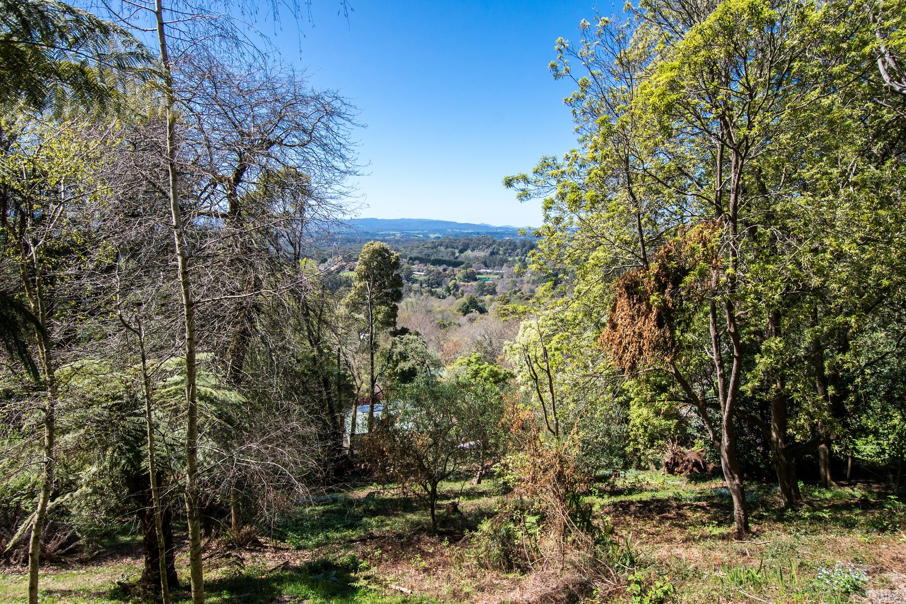 13 Dalmonte Grove, Kallista VIC 3791, Kallista - Thumbnail 3