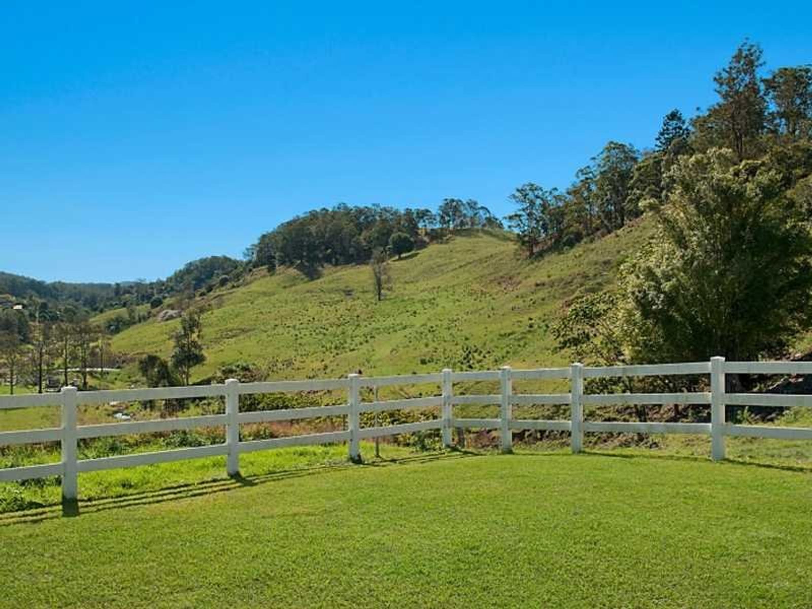 190 Bice Road, Leycester - Thumbnail 7