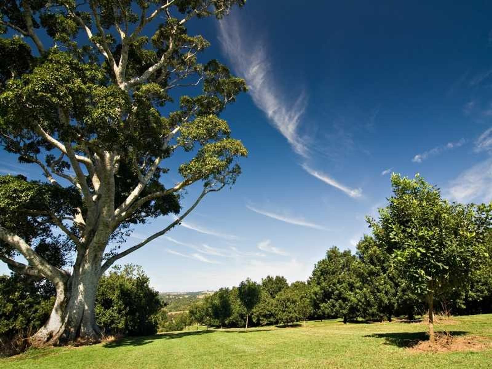 257 Whian Road, Eureka - Thumbnail 8