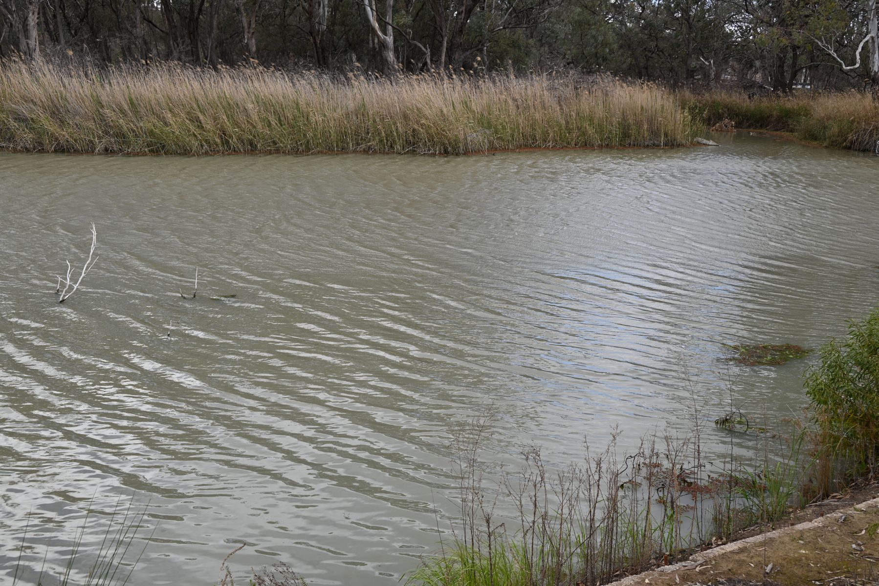 Lot 5 River Drive, Paisley SA 5357, Paisley - Thumbnail 2