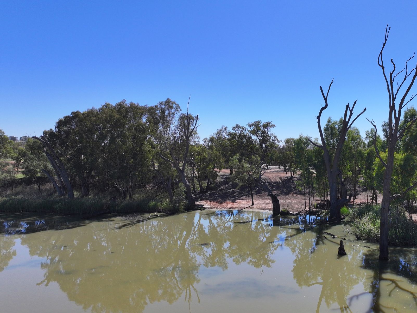 Lot 2 / 5669 Sturt Highway, Monak NSW 2738, Monak - Thumbnail 6