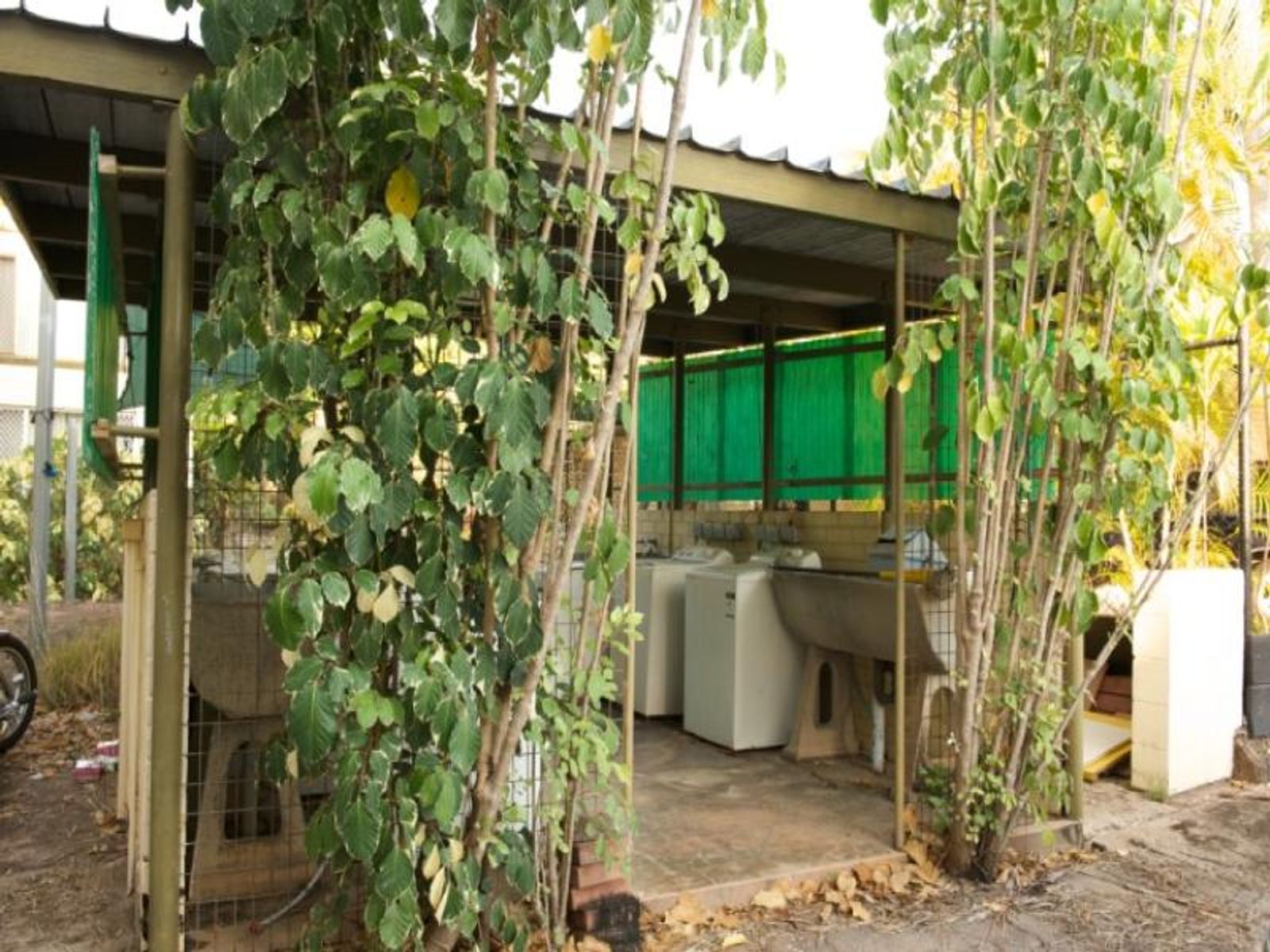 5/18 Cunjevoi Crescent, Nightcliff NT 0810, Nightcliff - Thumbnail 4