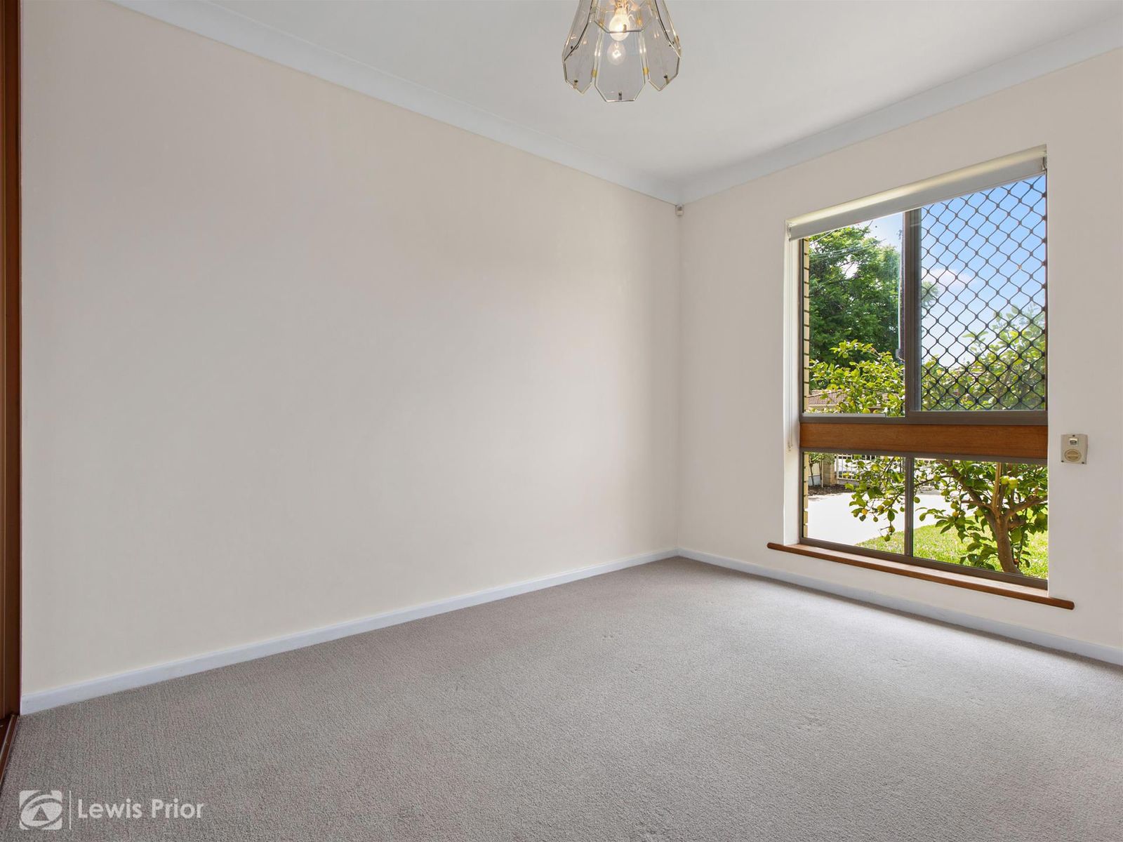 90 Daly Street, South Plympton SA 5038, South Plympton - Thumbnail 6