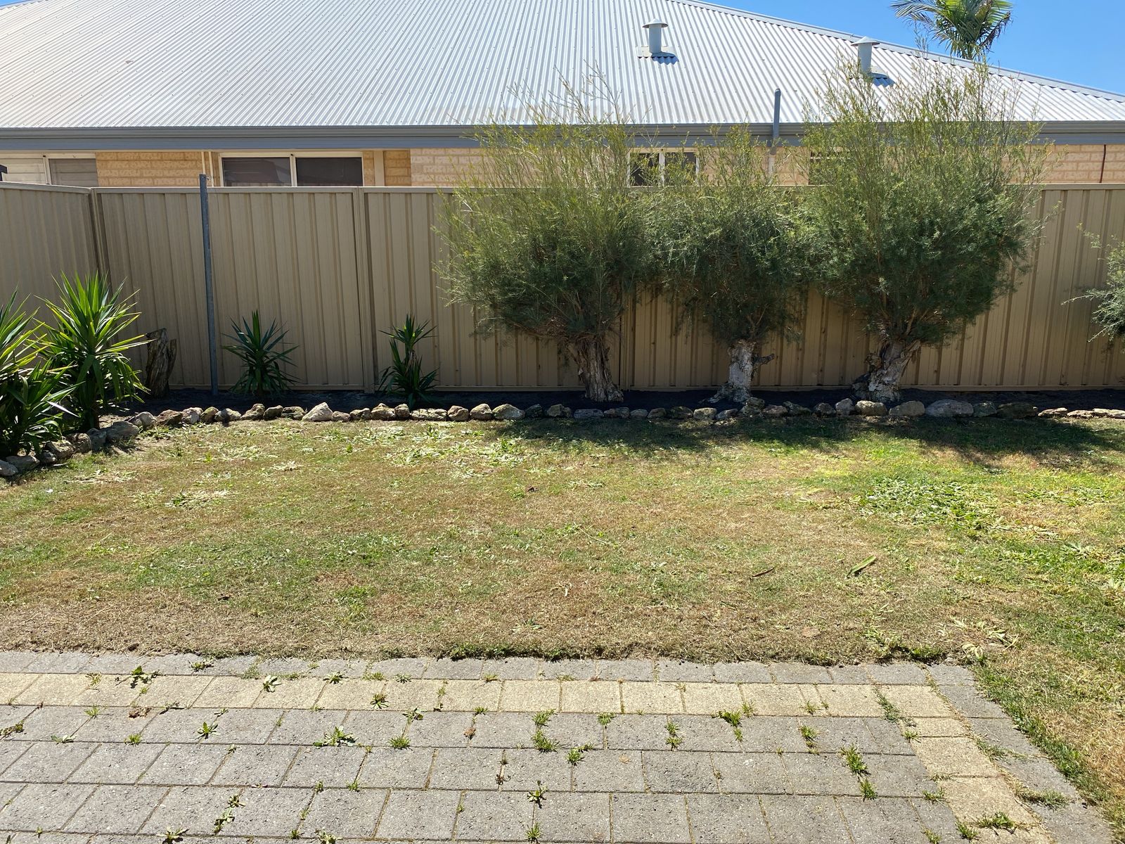 34 Greenacre Street, Pinjarra WA 6208, Pinjarra - Thumbnail 5