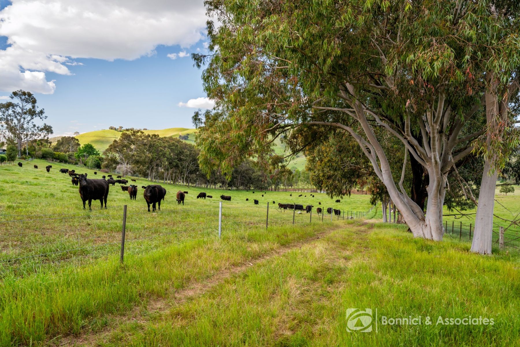 Lot 2/PS917939 Indigo Creek Road, Indigo Valley VIC 3688, Indigo Valley - Thumbnail 7