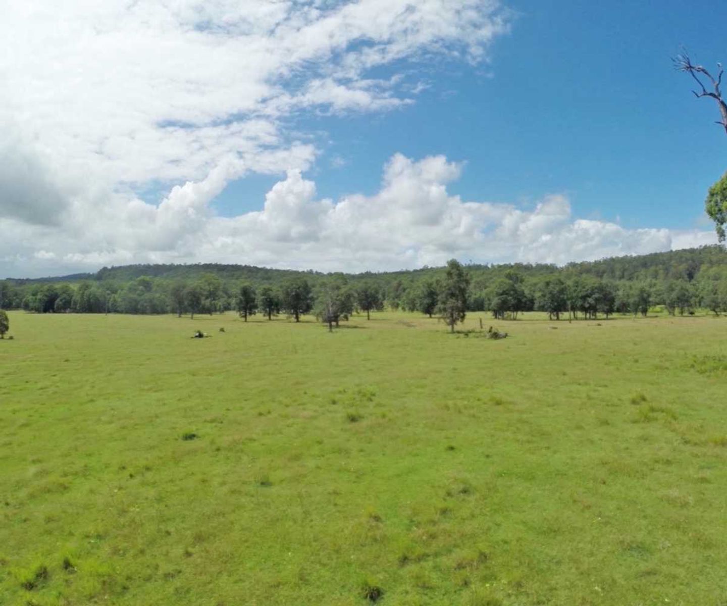 Iron Pot Creek Road NSW 2474, Iron Pot Creek Road - Thumbnail 8