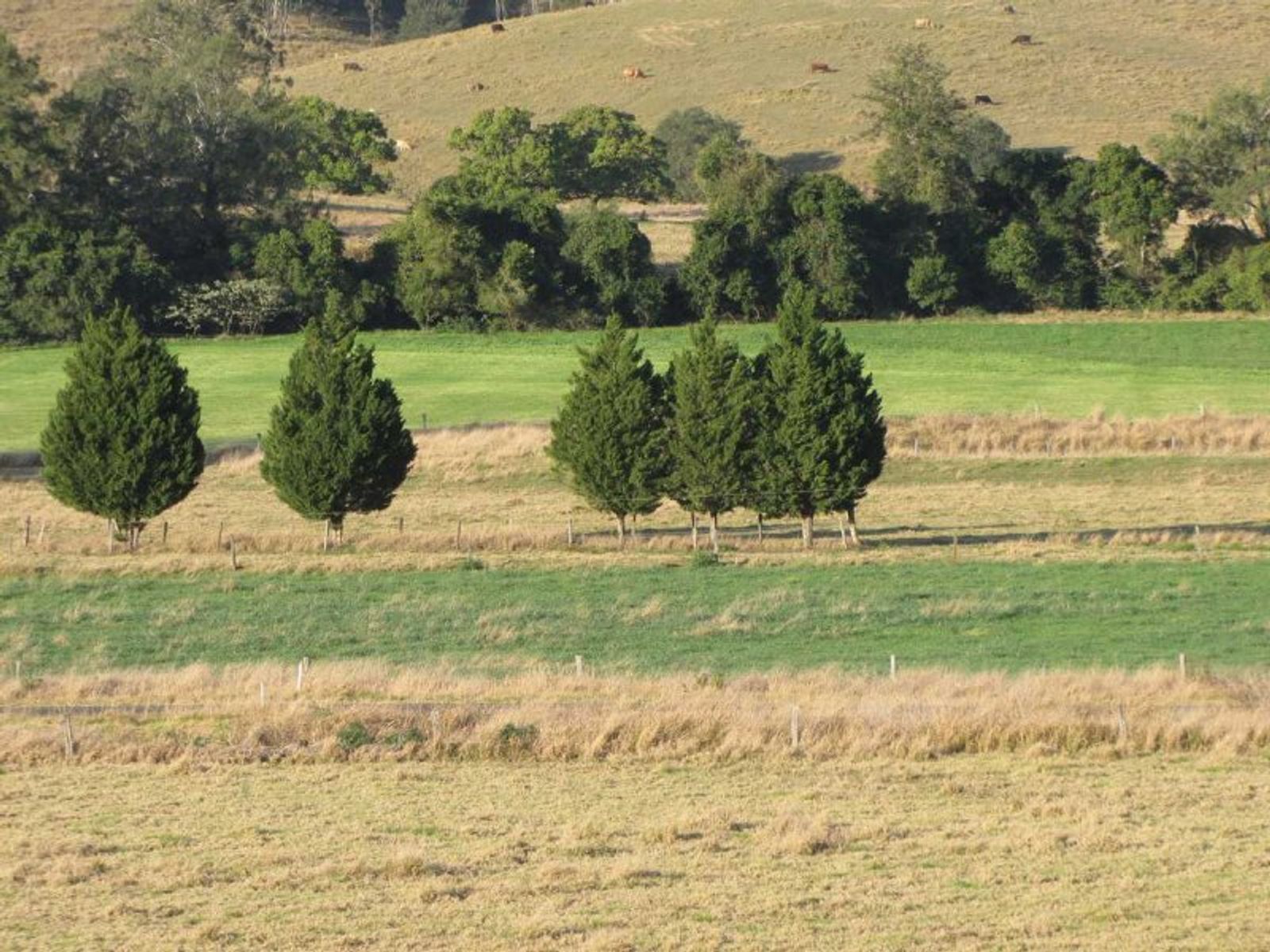 271 Bingeebeebra Creek Road, Mummulgum - Thumbnail 5