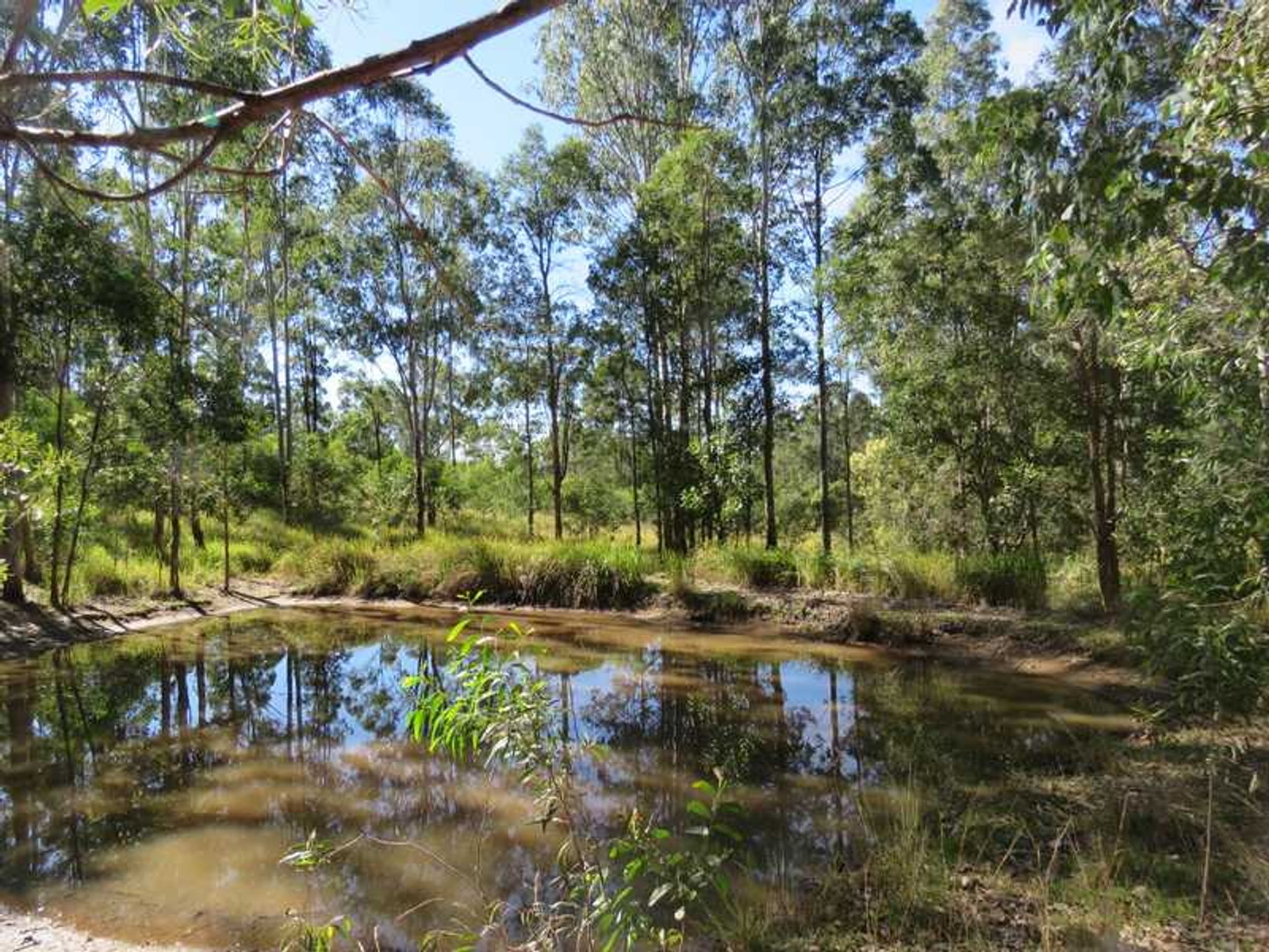 Lot 181 Sugarbag Road, Tabulam - Thumbnail 4
