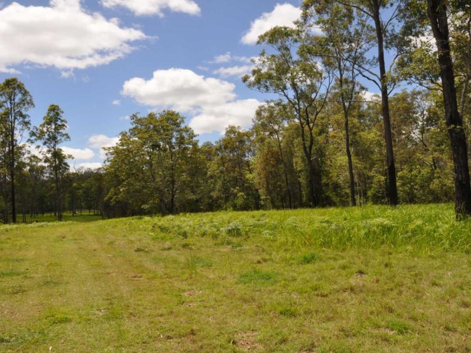 Busbys Flat NSW 2469, Busbys Flat - Thumbnail 7