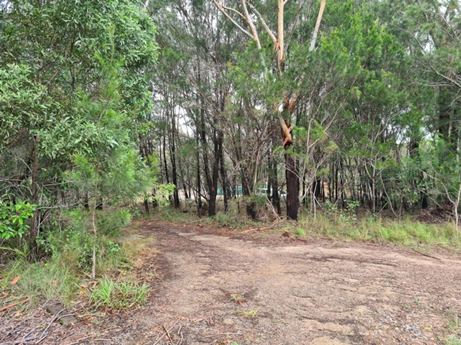 11 Vernon Way, Russell Island QLD 4184, Russell Island - Thumbnail 4