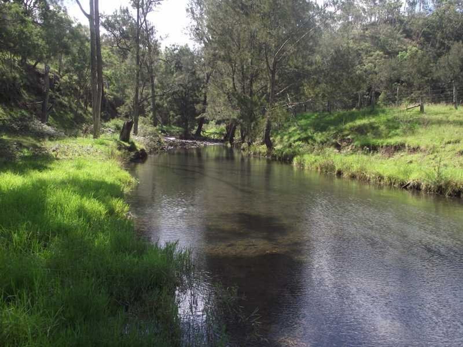 101 Mailmans Road, Warwick, QLD 4370, Warwick - Thumbnail 6